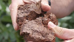 GREATsoils events